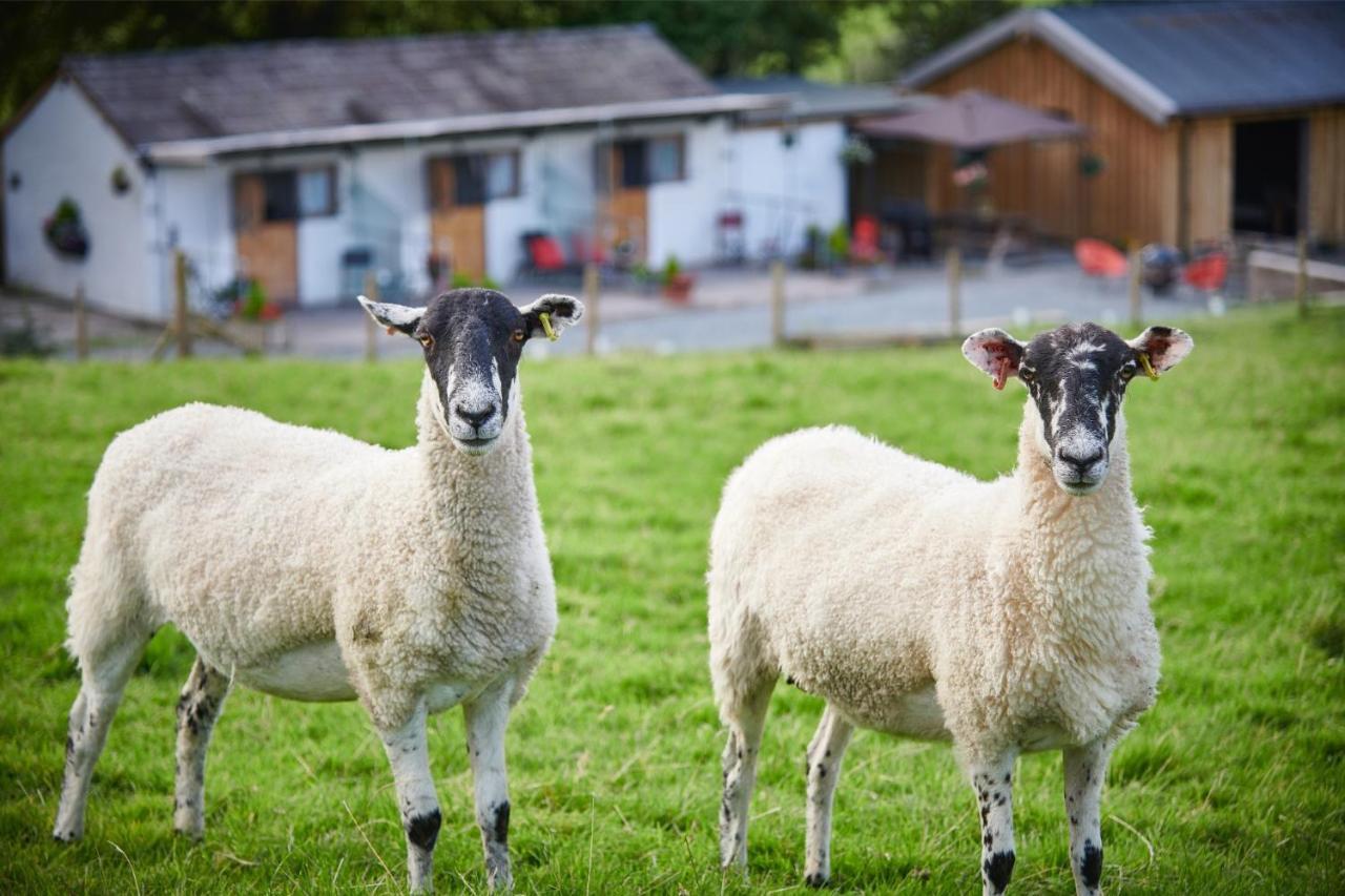 ケンダル Newlands Farm Stablesヴィラ エクステリア 写真