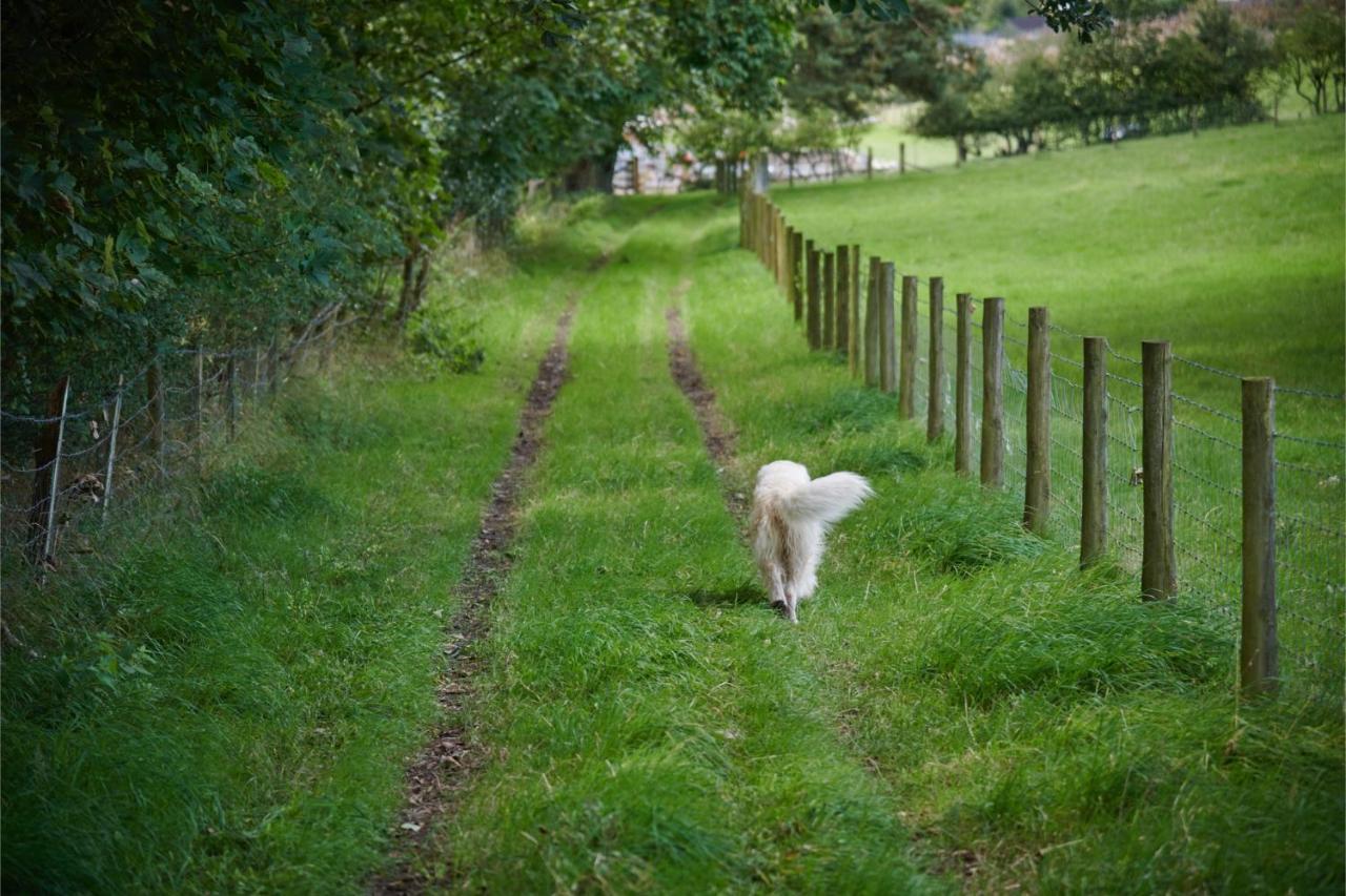 ケンダル Newlands Farm Stablesヴィラ エクステリア 写真